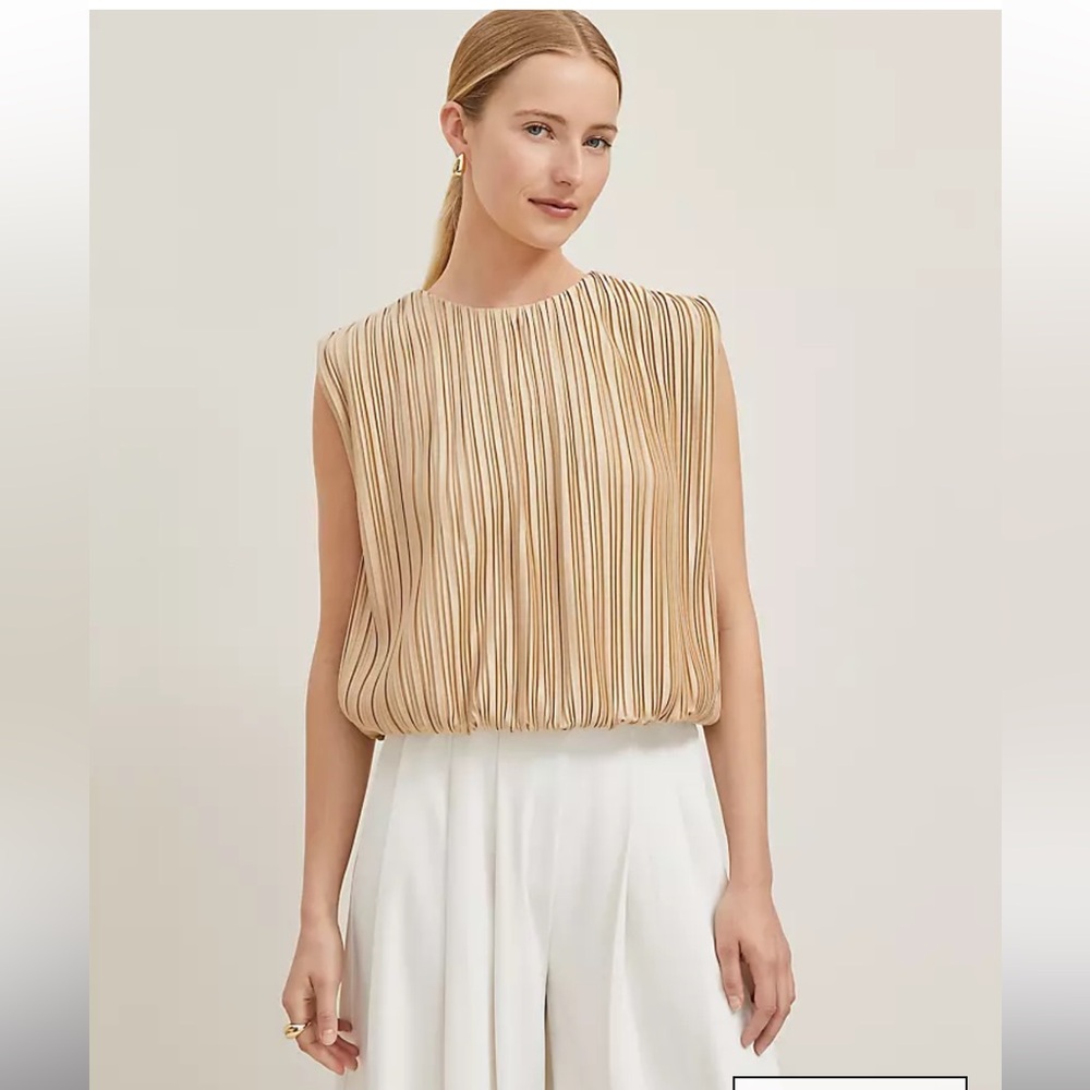 NWT Ann Taylor Pleated Bubble Top - XS